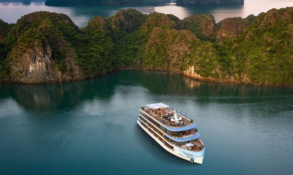 Cycad Cruise