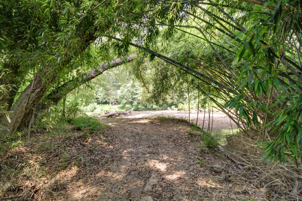 McComb Vacations - Historic Vacation Rental in Mccomb w/ River Access - Property Image 22