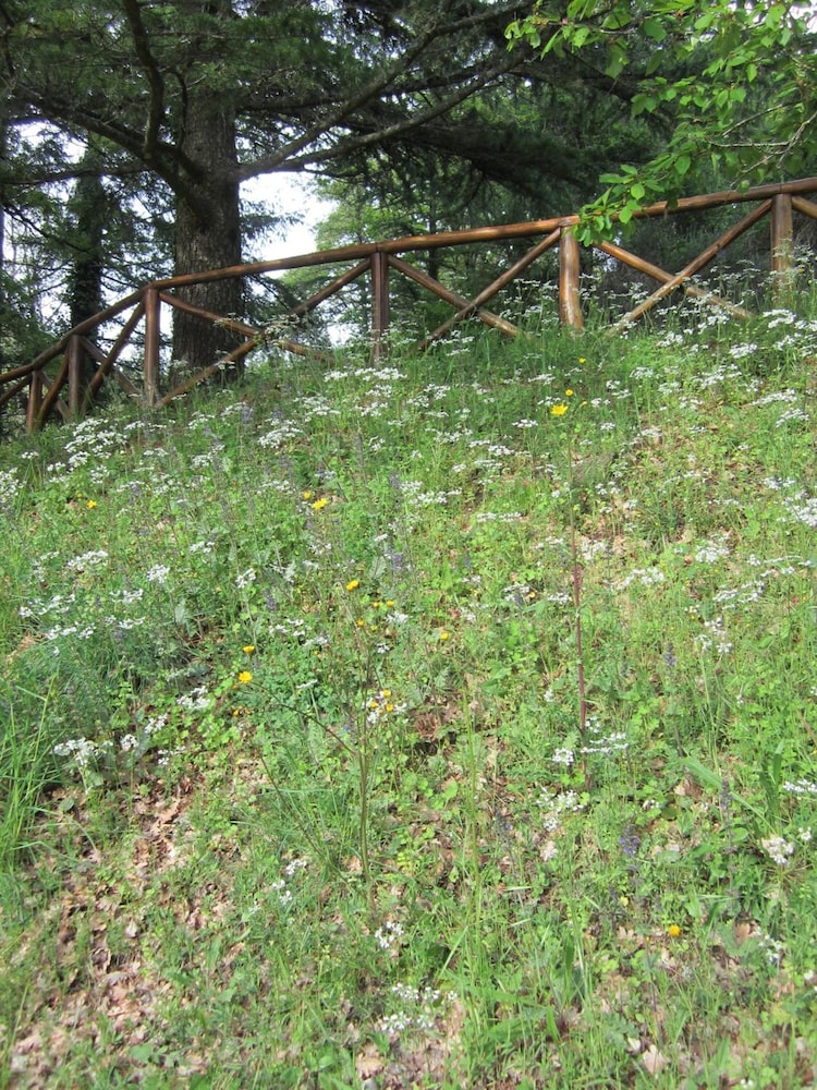 Photo 26