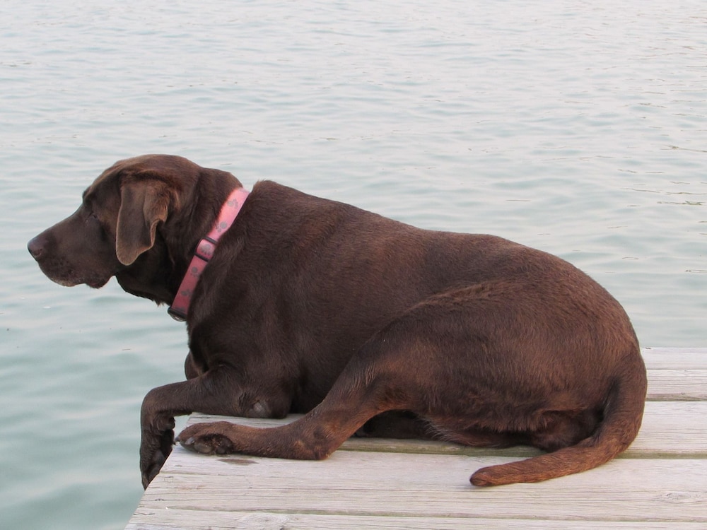 Grand Lake Resort - Property Image 12