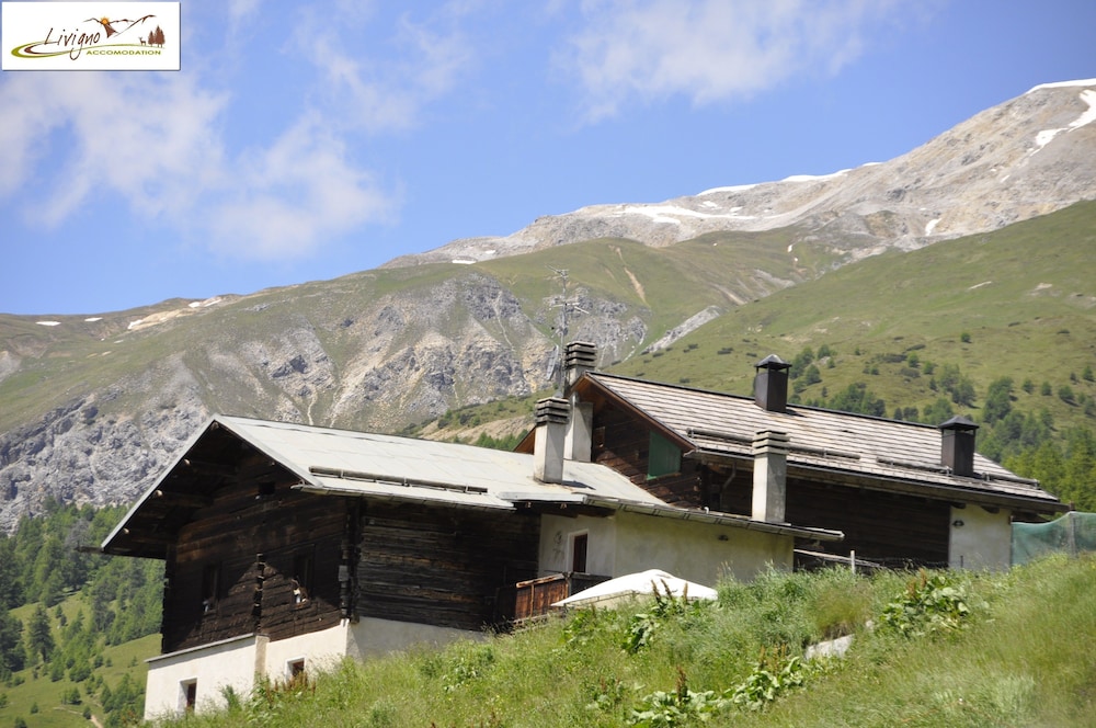 Appartamenti Green