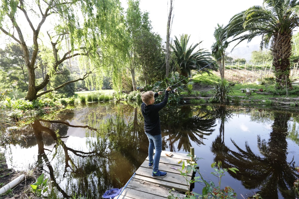 Waterland