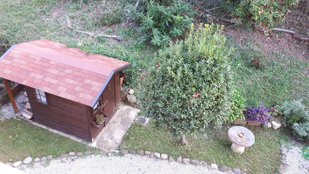 Photo 12