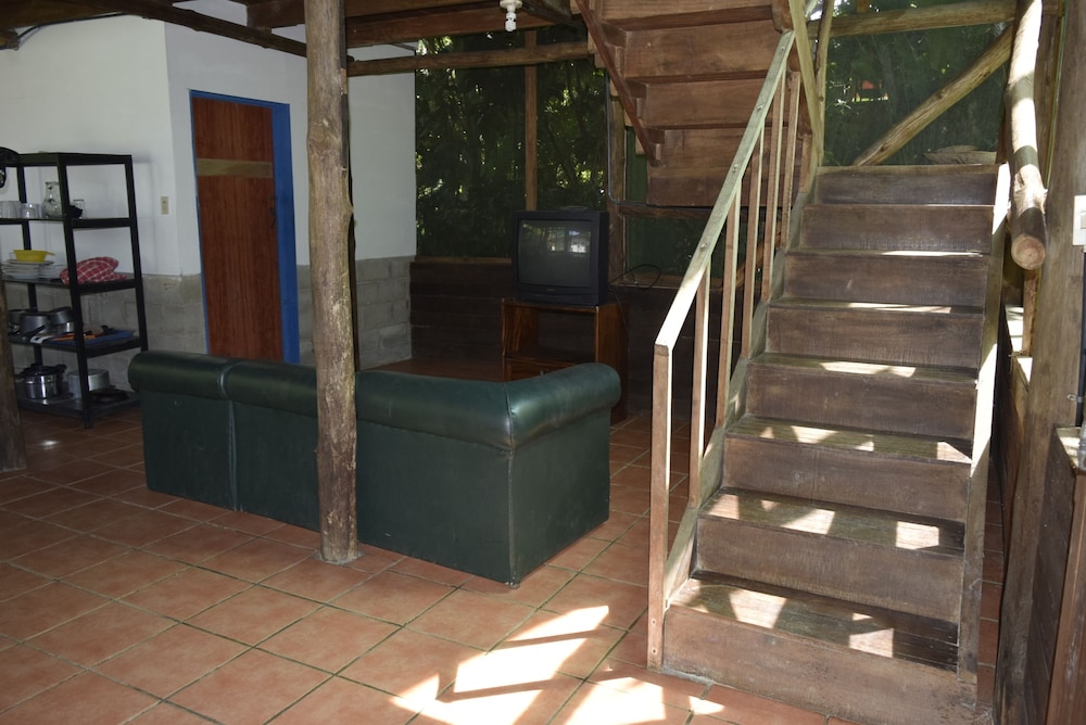 Photo 42