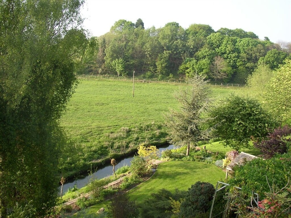Photo 11