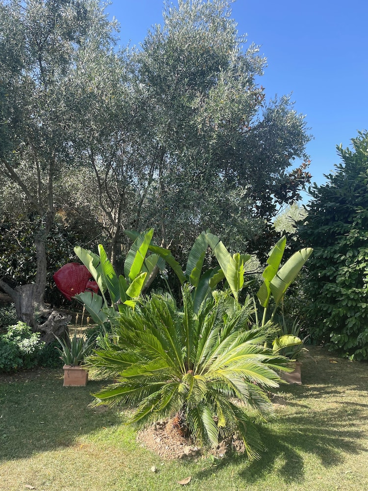 Mas de Provence en Riviera