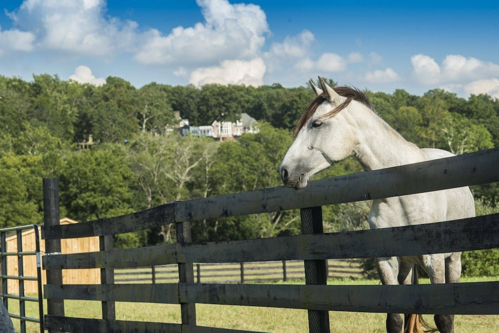 Leesburg Vacations - The Manor at Courtland Farm - Property Image 69