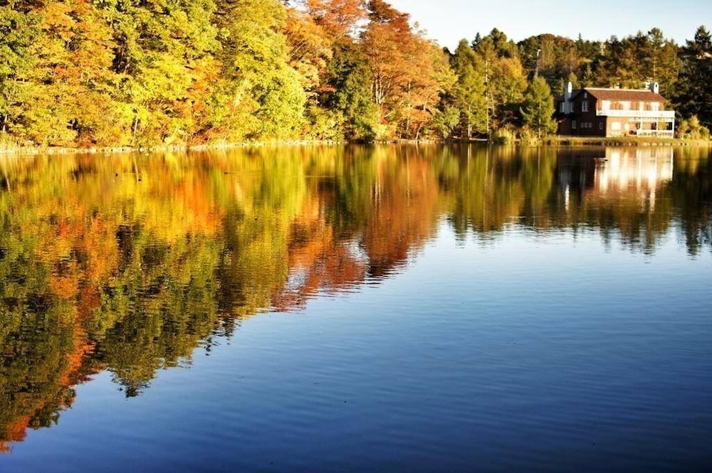 Photo 55