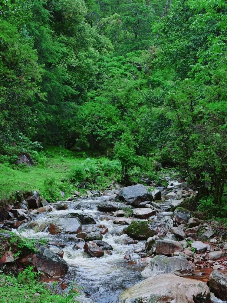 Shujiawuxiangluoguqingtubuminsu