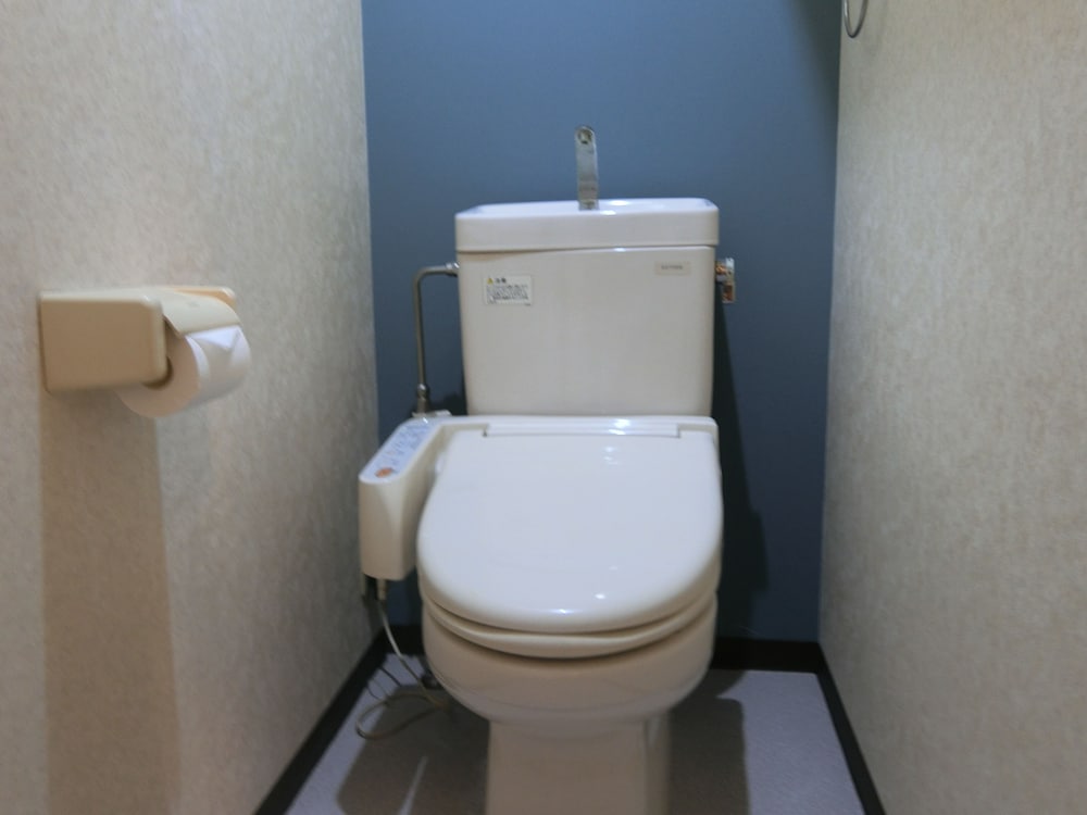 Sakura Sands Hotel Shinsaibashi