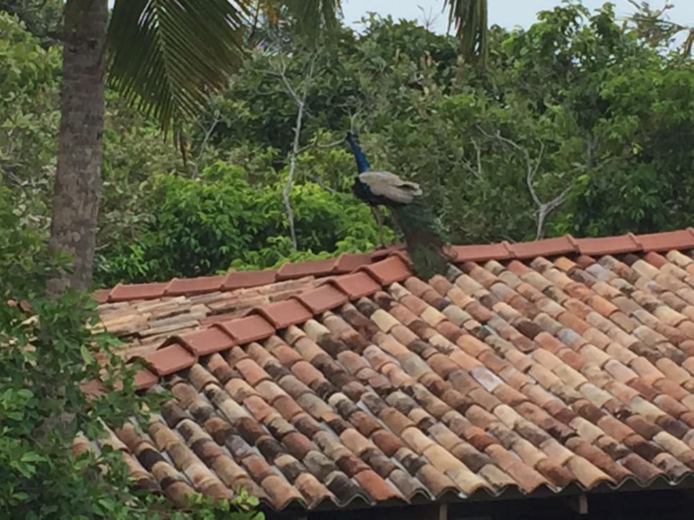 Lanka Eco Village