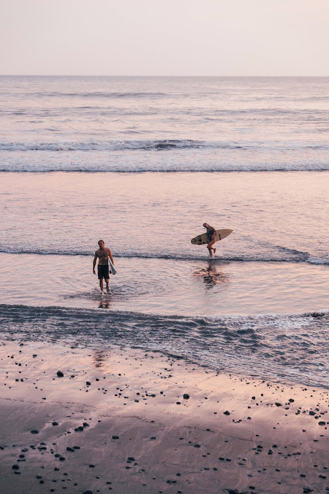 Wave House