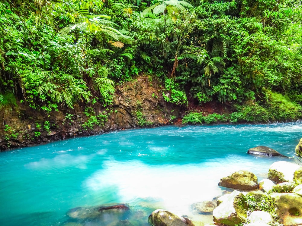 Posada Río Celeste La Amistad
