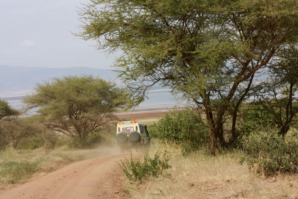 The Vijiji Center Lodge and Safari