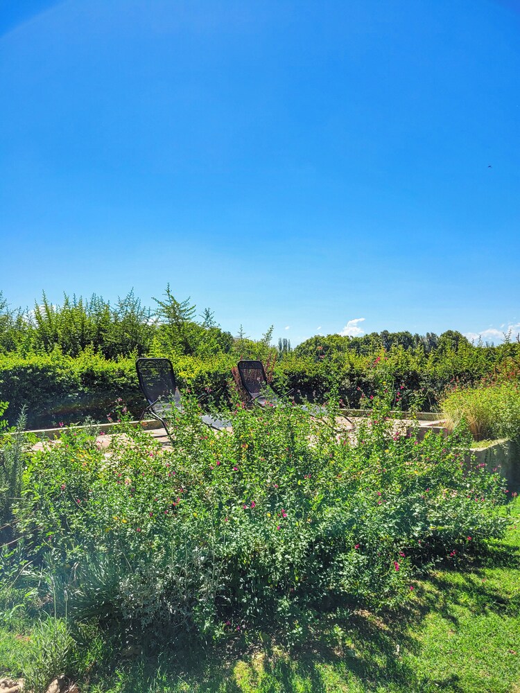 Finca La Saucina