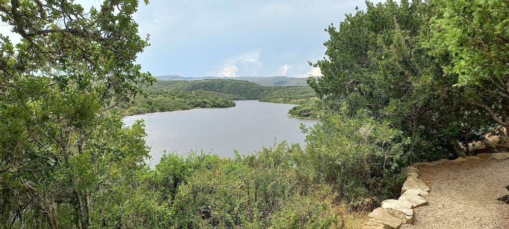African Safari Lodge