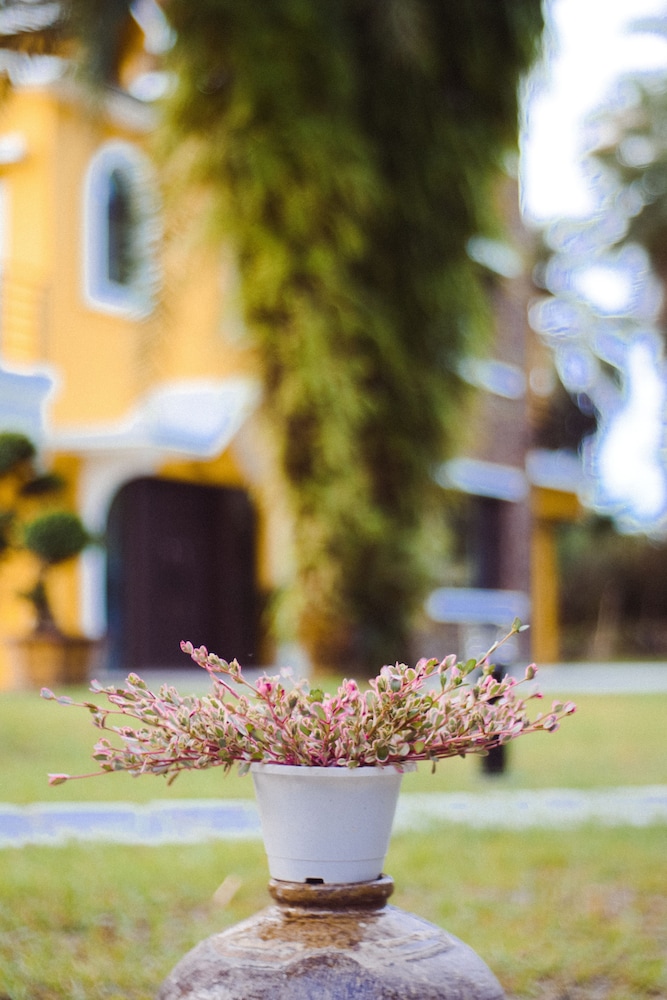Greenfield B&B