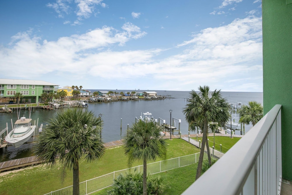 Navy Cove Harbor 1205