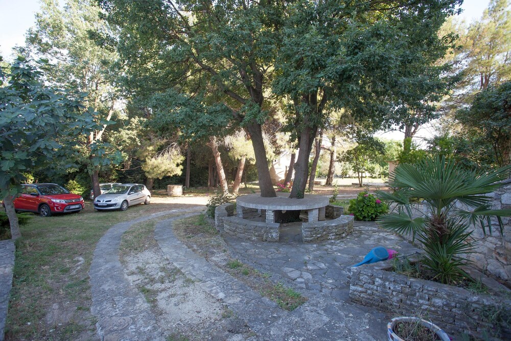 Photo 7