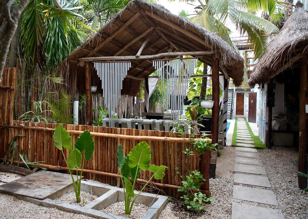 Tuup Jungle