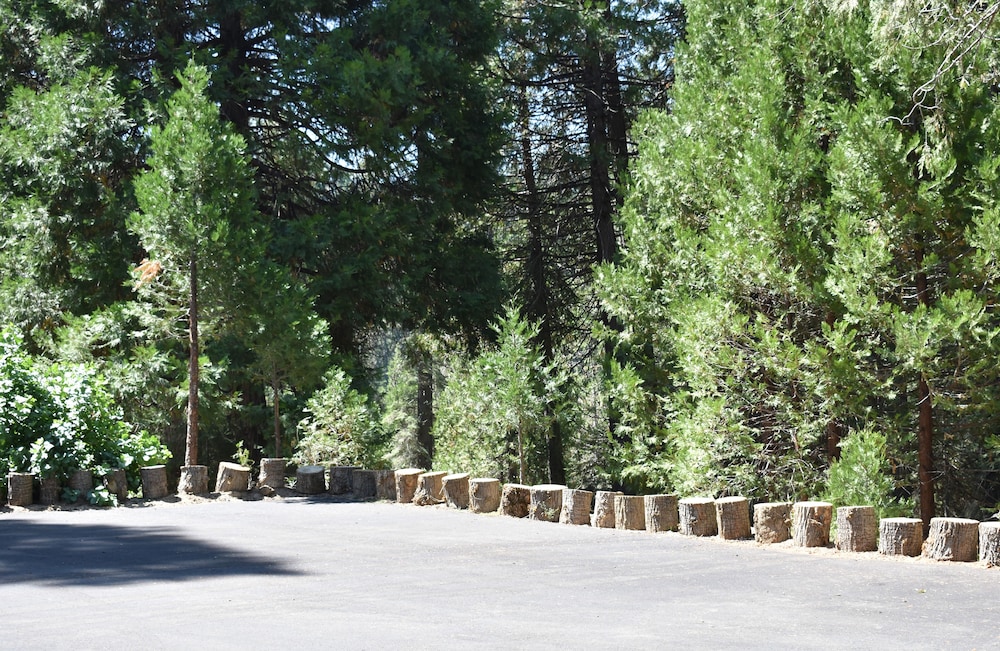 White Chief Mountain Lodge
