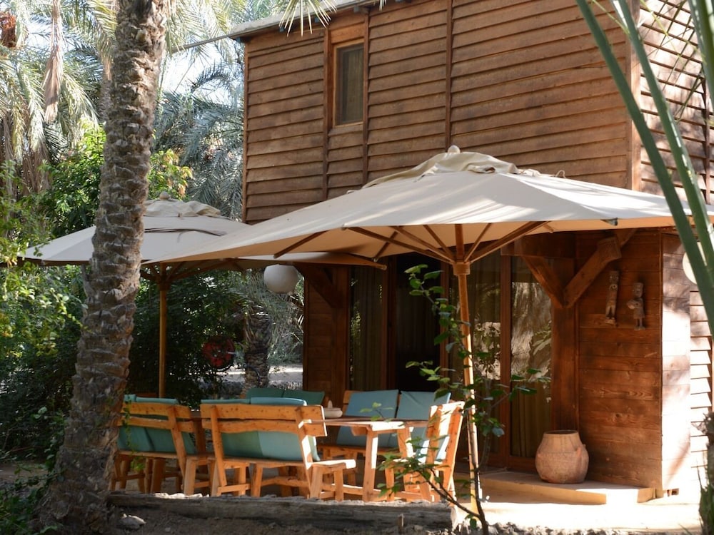 Tozeur Vacations - Hotel Diar Abou Habibi - Property Image 12