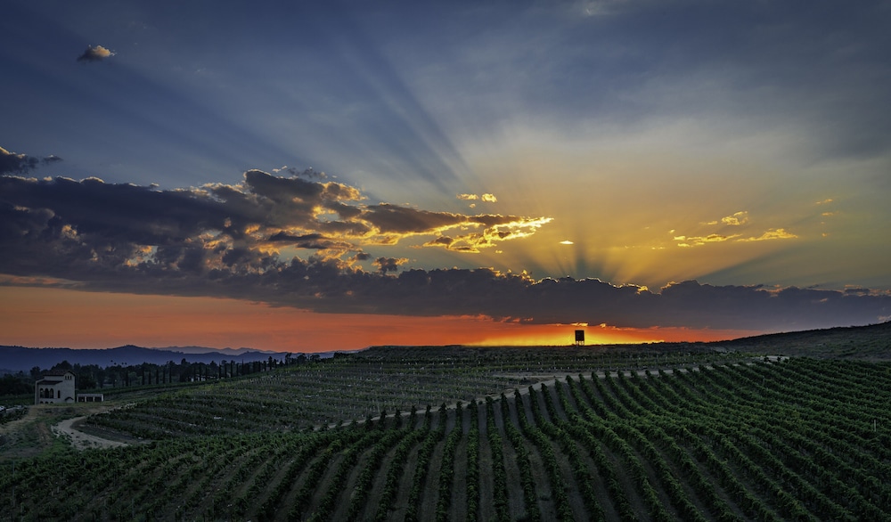 Europa Village Wineries and Resort