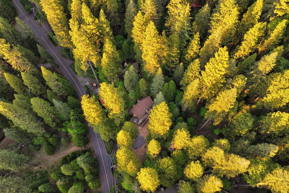 Walk to Fly-in Lake: Blue Lake Springs Cabin!