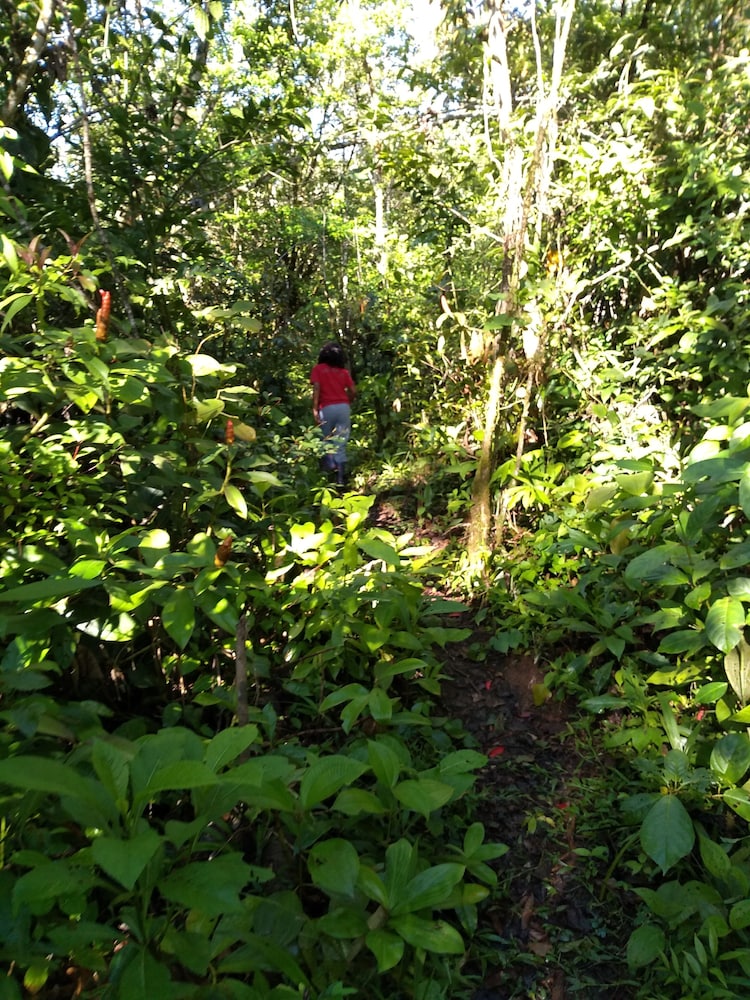Photo 11