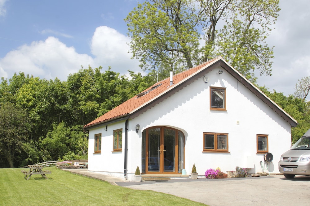 Brush and Boot B&B