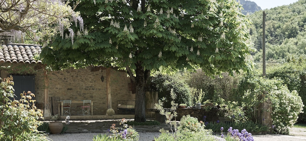 La Cour du Marronnier