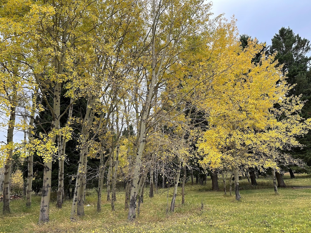 Grassy Mountain Ranch