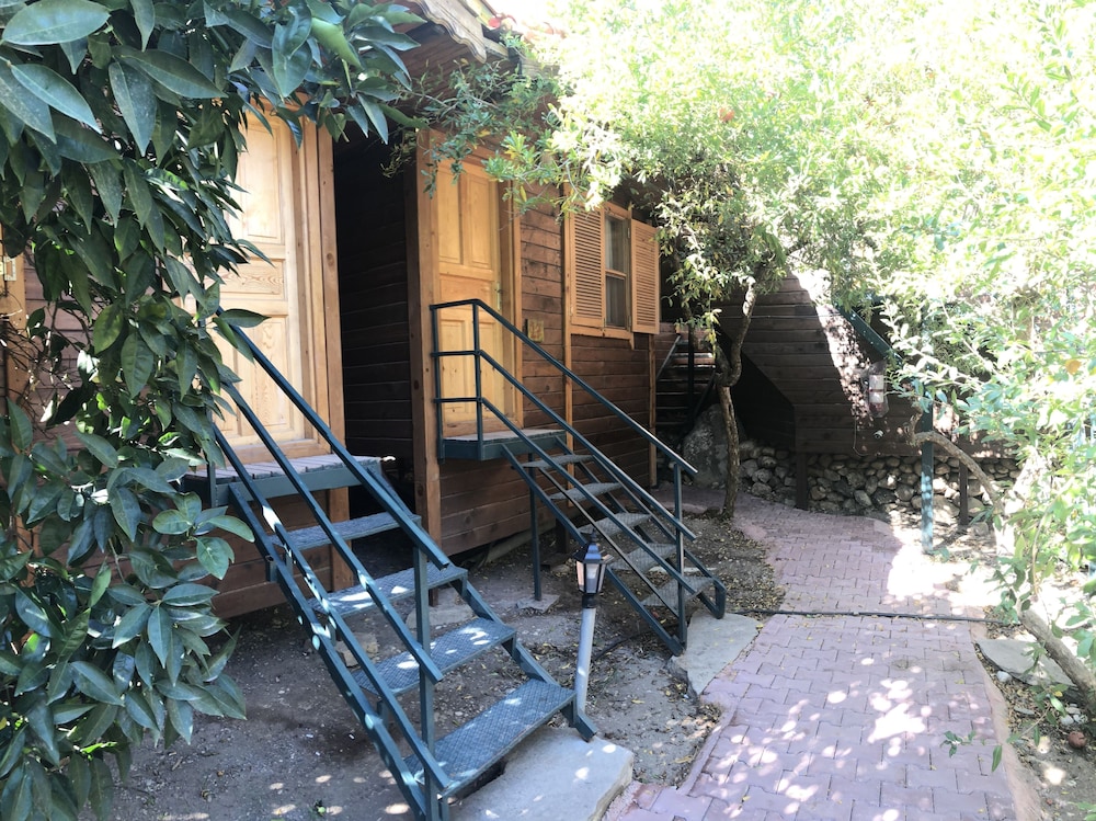Photo 49
