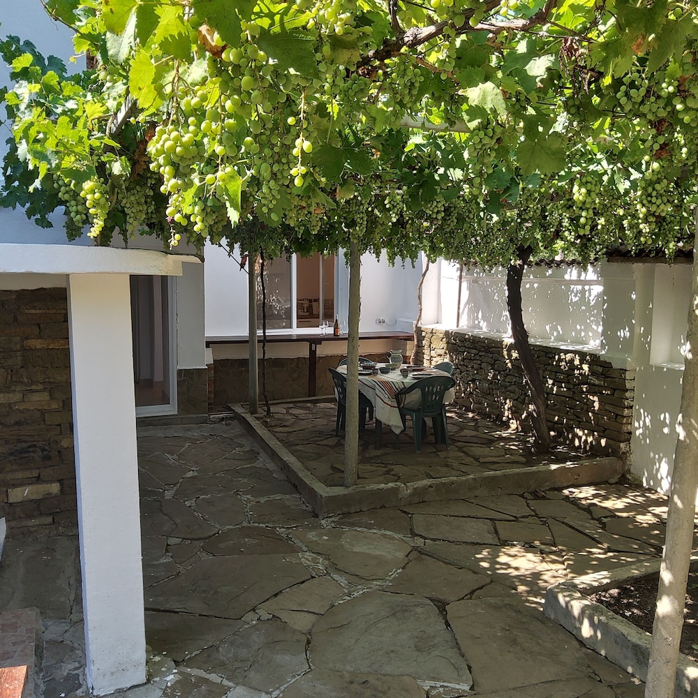 House Sleeps 6-garden-freeparking-bbq-patio-petsok