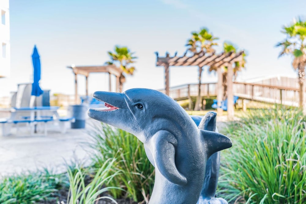 Get Beach Dazed in Galveston