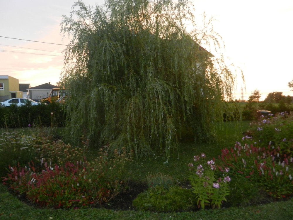 Gîte La P'tite Falaise
