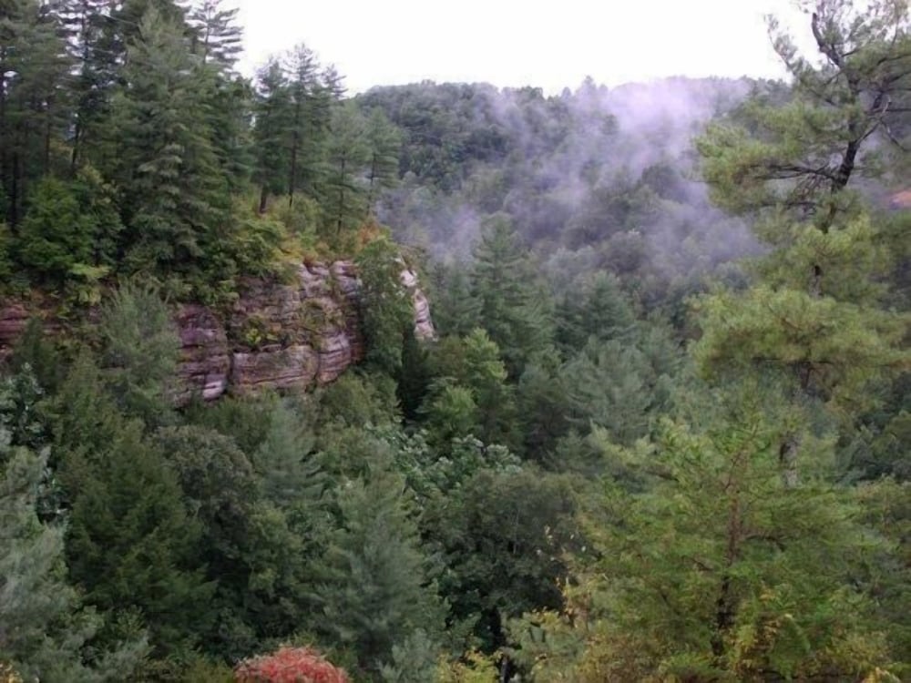 Cliffview Resort