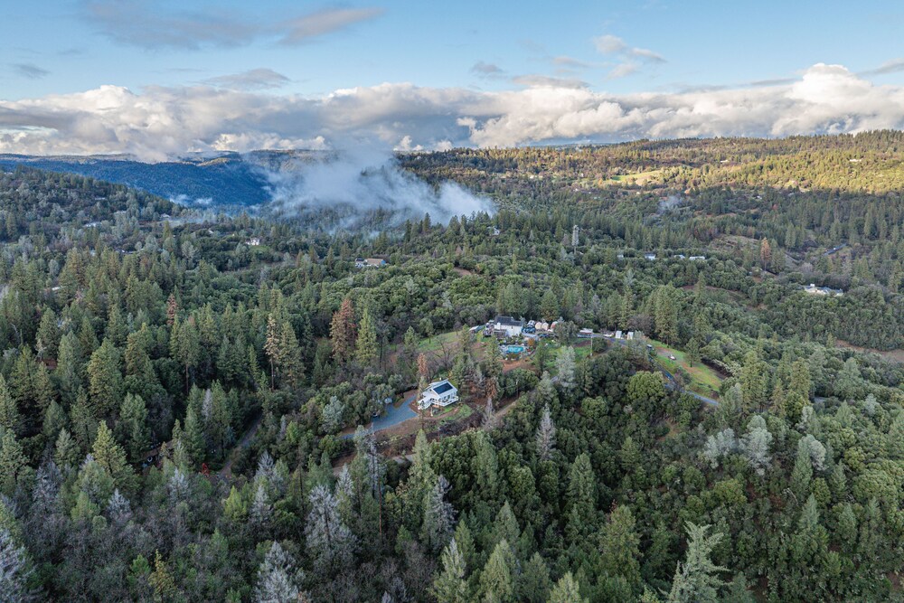 Bay Area Escape on 5 Acres: Pet Friendly, Views view 5