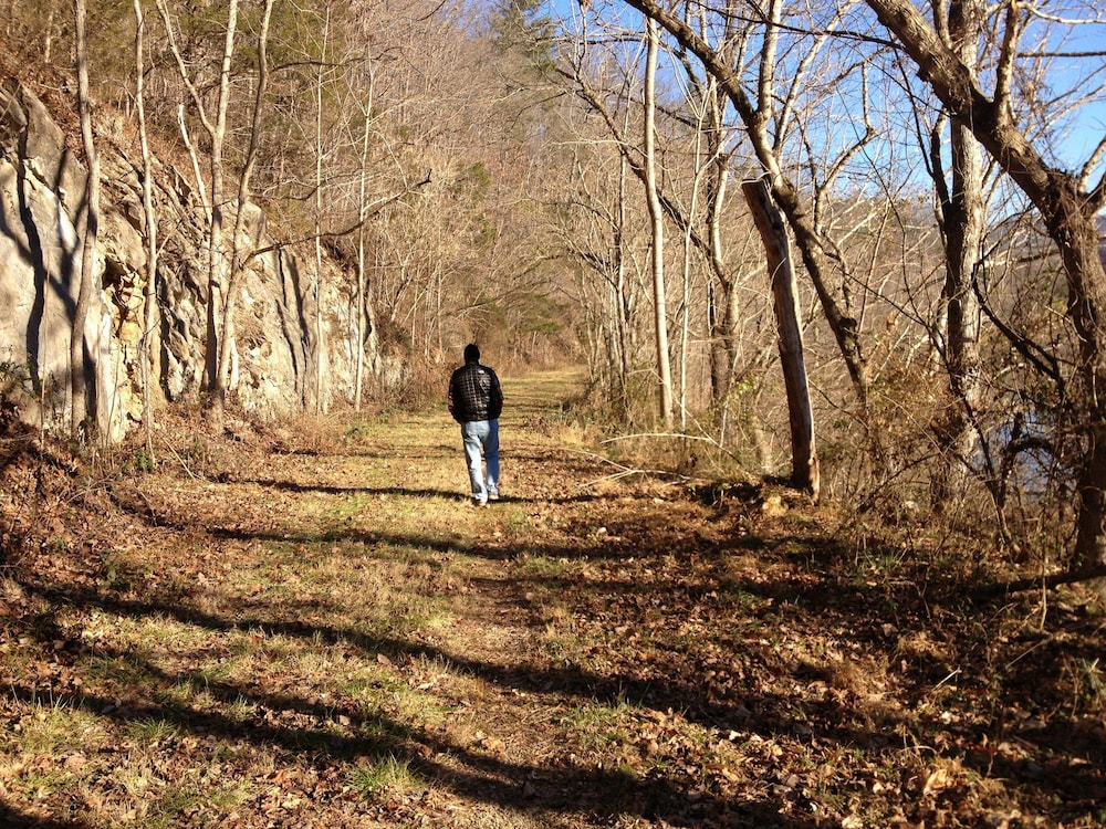 Lexington Vacations - DeHart Cabin - Property Image 23