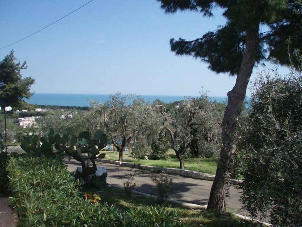 Photo 42
