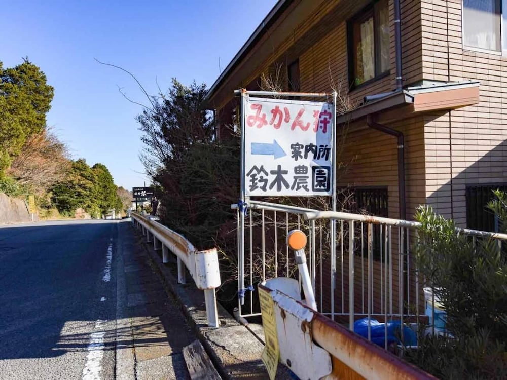 Photo 46