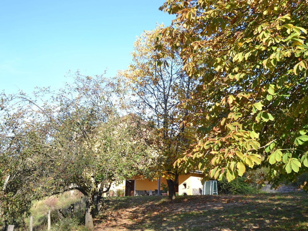 Photo 26