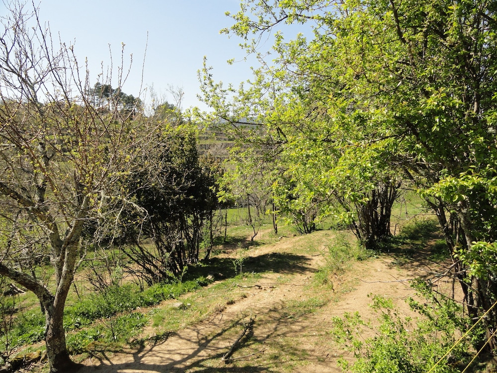 Chambres d'hôtes Au creux du Chambon