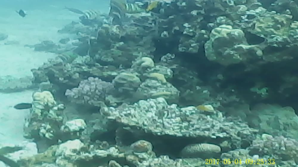Photo 25