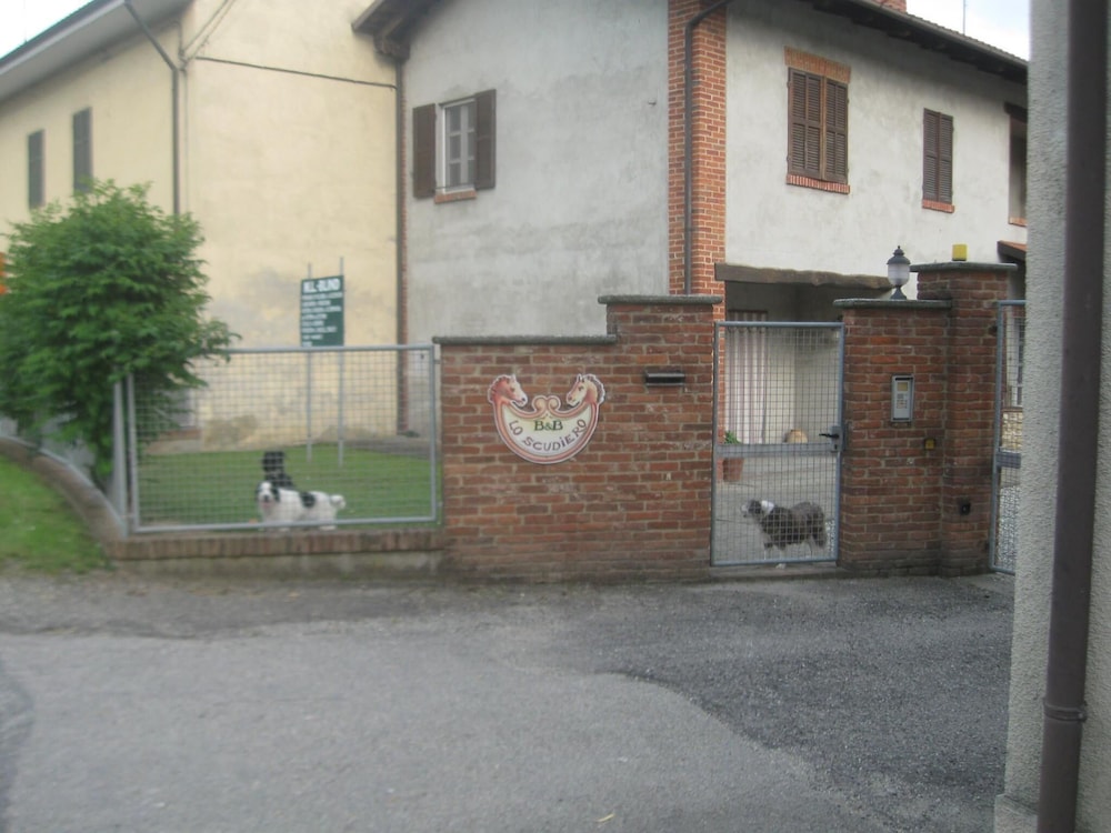 Photo 40