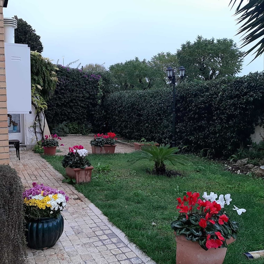 Photo 26