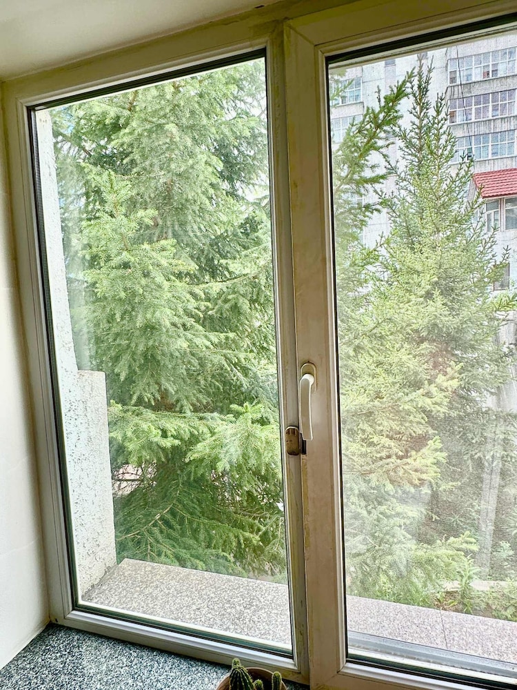 white hostel mongolia