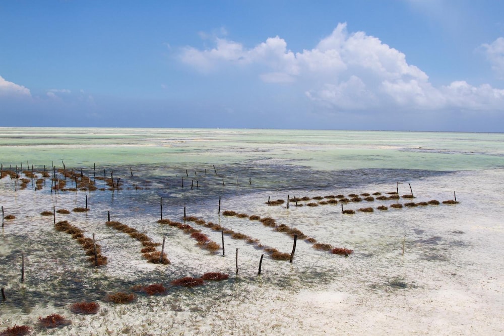Ujamaa Beach Resort Zanzibar