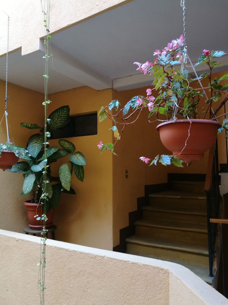 Apartamentos Macondo