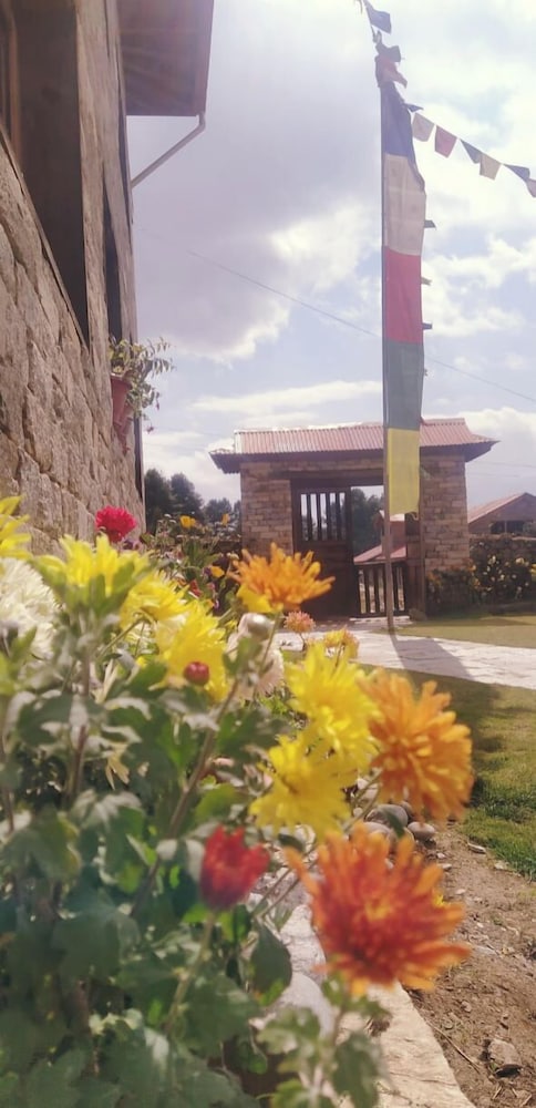 Photo 16